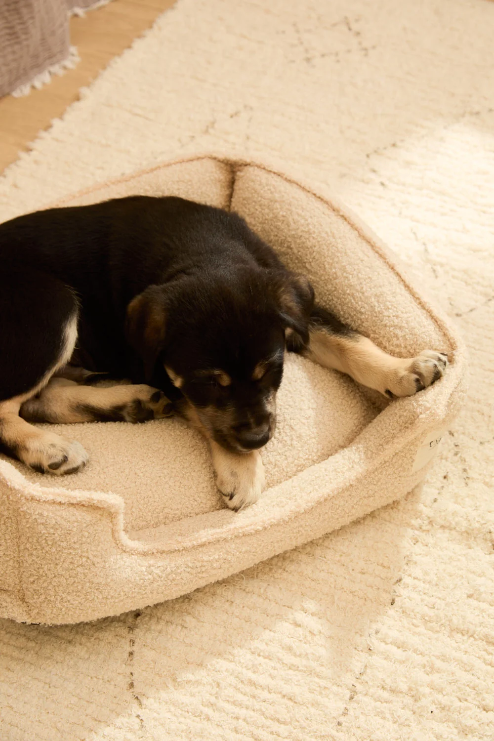 Imagen del producto 2